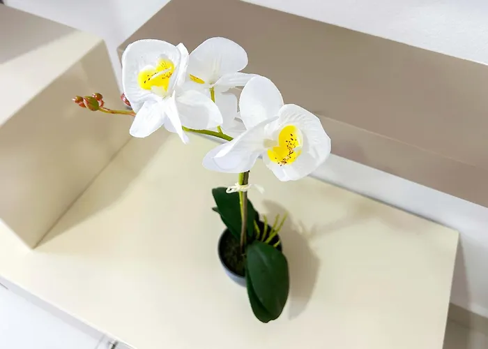 Apartamento Villa Beach Golem (Tirana)